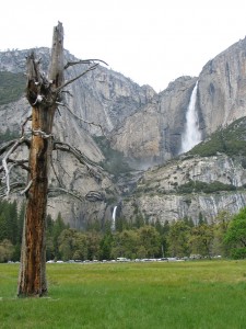 Another Waterfall In Yosemite